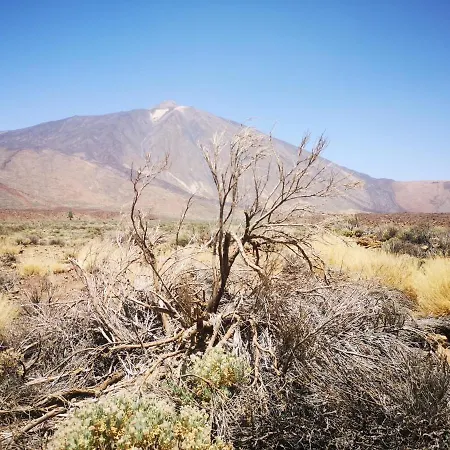 Nyaraló Casita Canaria *