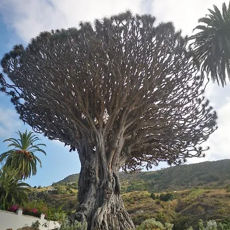 Nyaraló Casita Canaria *
