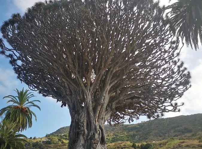 Nyaraló Casita Canaria *