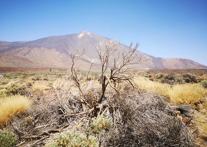 펜션 Casita Canaria *